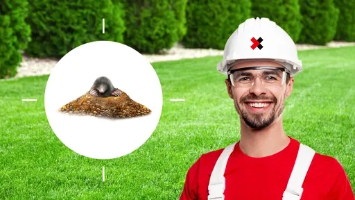 Mole Control Near Me